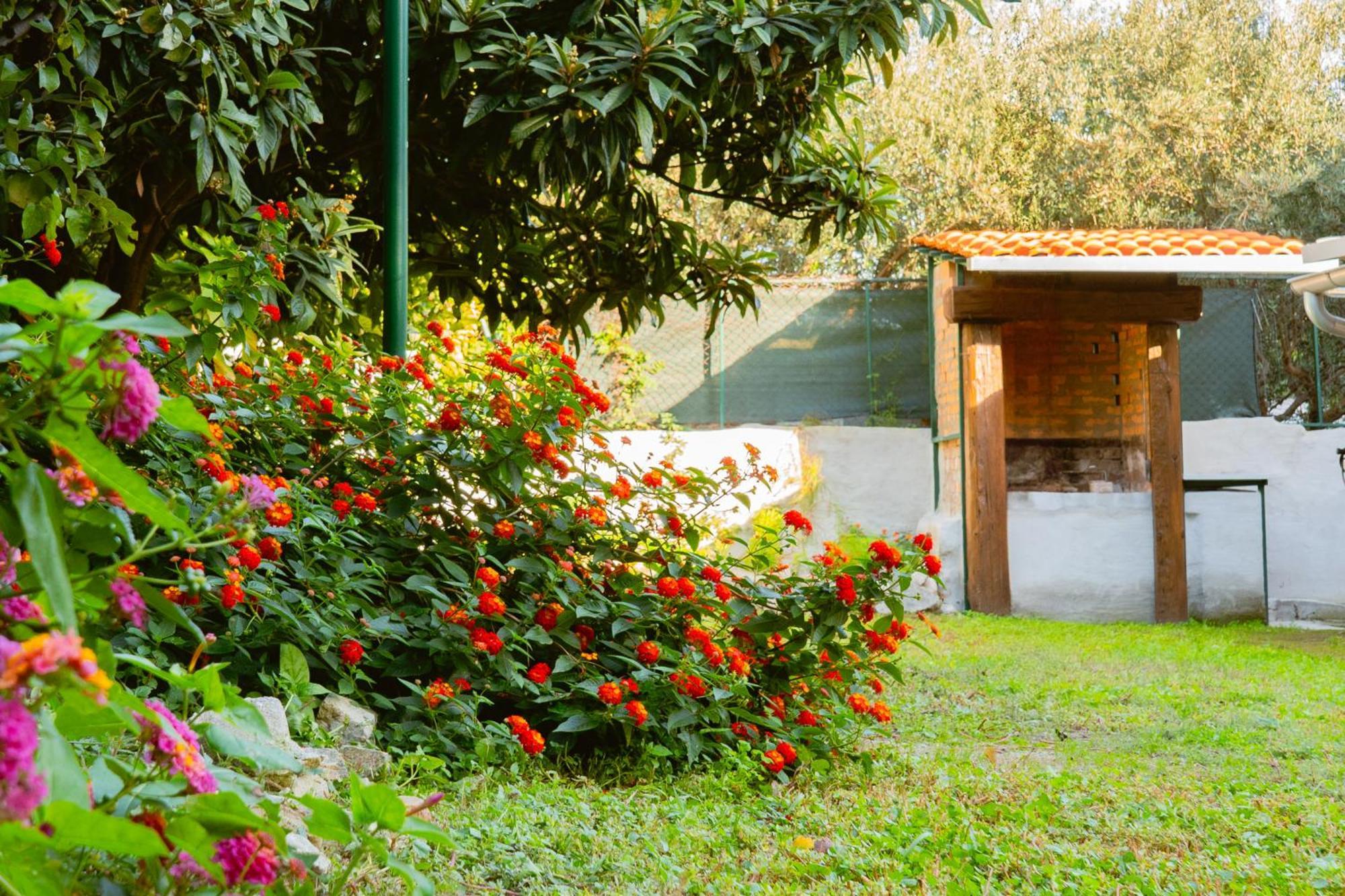 Apartments Odrina สปลิท ภายนอก รูปภาพ